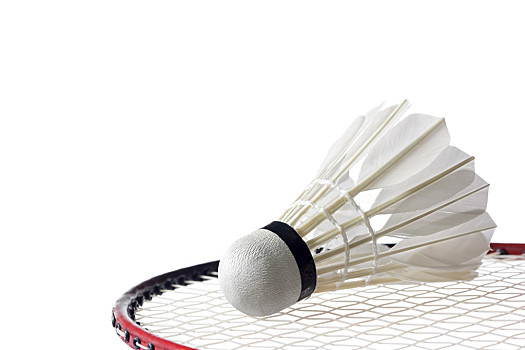 领袖气质 领袖气质